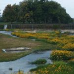 Texas Water Development Board